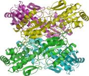 Fosfofrutoquinase Frutose6P + AMP + Frutose 2,6P -ATP -citrato Fosfofrutoquinase 1 ATP ADP Frutose1,6 P Frutose 6P Frutose 2,6 P + AMP