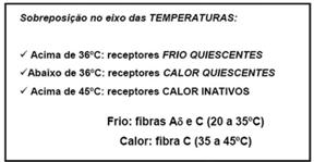 Receptores Sensoriais e Sistema Somatossensorial TERMORRECEPTORES Os termorreceptores são receptores de adaptação lenta que detectam a temperatura da pele.