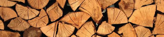 BIOMASSA A biomassa é uma importante fonte de energia renovável. As florestas têm que ser limpas e tratadas, para que sejam sãs e para que se possam prevenir incêndios.