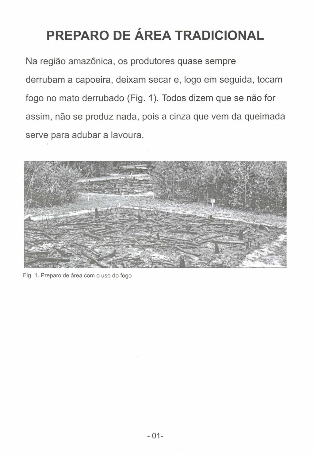 PREPARO DE ÁREA TRADICIONAL Na região amazônica, os produtores quase sempre derrubam a capoeira, deixam secar e, logo em seguida, tocam fogo no mato derrubado (Fig.