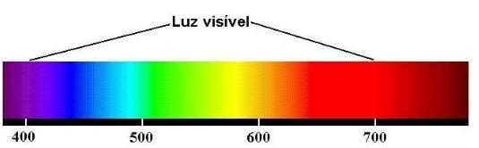 Faixa do espectro denominada luz visível Pigmentos envolvidos na percepção dos sinais