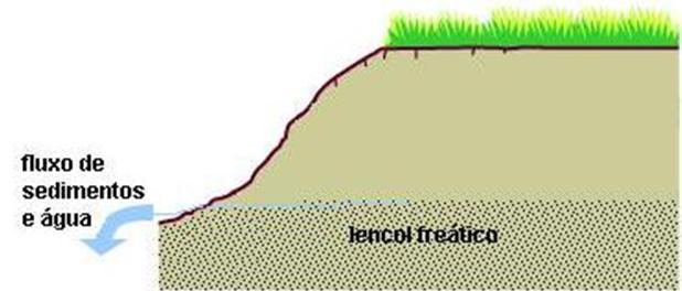 subsuperfície e desenvolver erosão interna do solo,