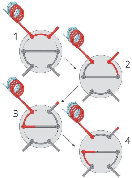 Análise e Preparo de Amostra Loop Parcial Princípio de