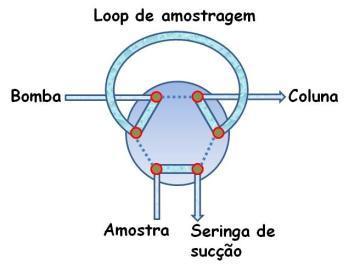 Válvula de injeção Válvula de 6 vias: 2 posições Manual/Software Loop : Alça de