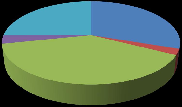 Os Estados não incluídos neste gráfico, respondem por 16% do total de ocorrências em 2010.
