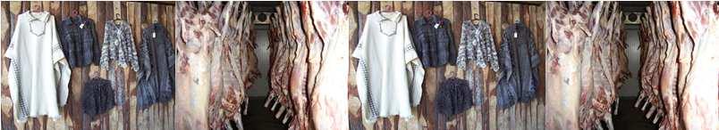 Raças produtoras de lã e carne: Corriedale, Romney Marsh,
