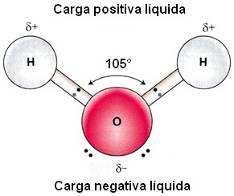 (δ + ) junto aos átomos de hidrogênio.