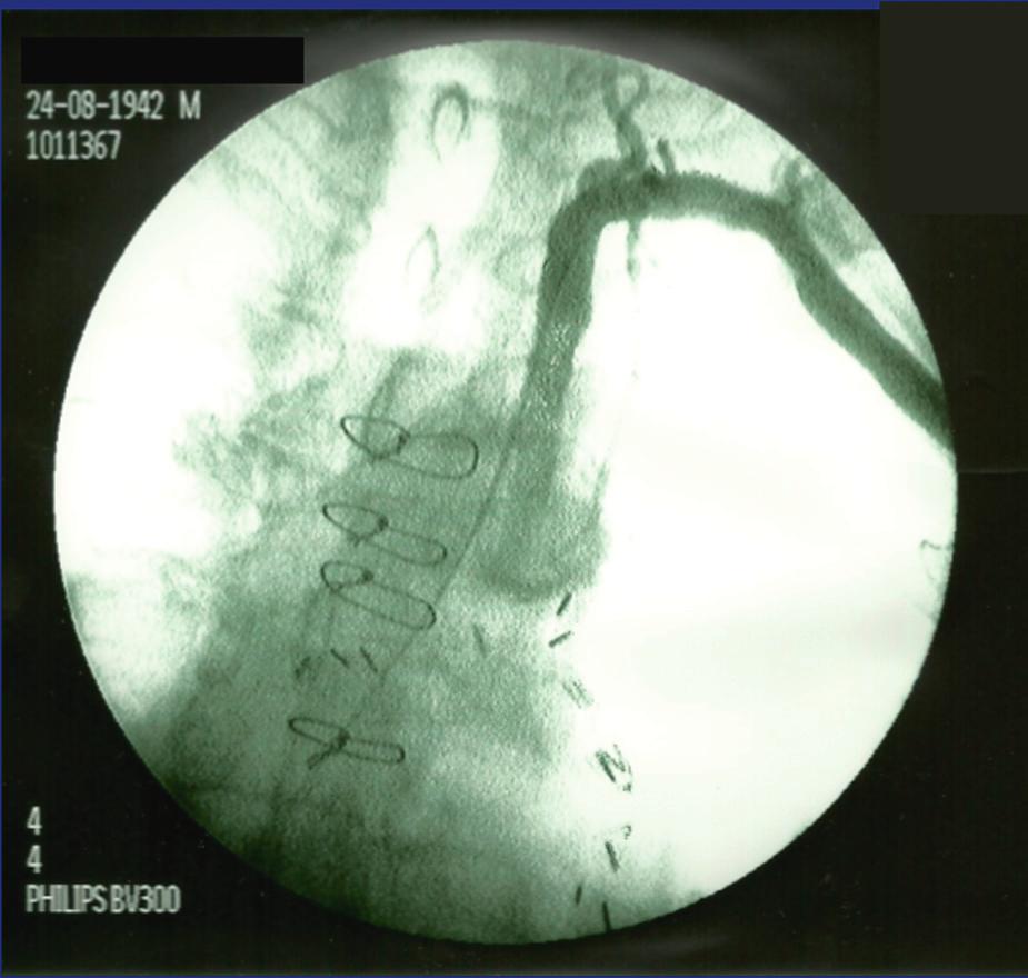 106 I.M. Alves et al.