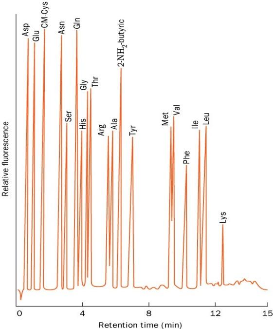 1- Análise da composição total de aminoácidos Hidrólise de todas as ligações peptídicas em meio fortemente ácido ou básico ( 2-4 M de NaOH ou 6 M HCl) ou por enzimas (mistura de proteases)