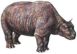 extinção da megafauna,