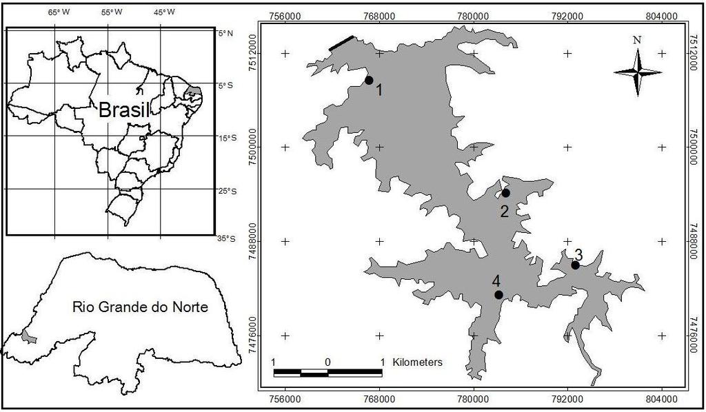 23 MATERIAL E MÉTODOS Área de estudo e amostragem O reservatório de Pau dos Ferros está localizado no trecho médio do rio Apodi/Mossoró (06 08 46 S e 38 11 27 W).