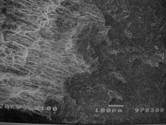 Análise Topográfica de Trinca de Corrosão sob Tensão em Aço AISI 340L secundários, de um aço inoxidável ferrítico solubilizado e envelhecido, para se estabelecer alguns pontos em comum com a imagem