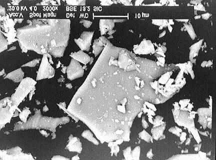 A análise microestrutural foi realizada através de microscopias ótica e eletrônica de varredura.