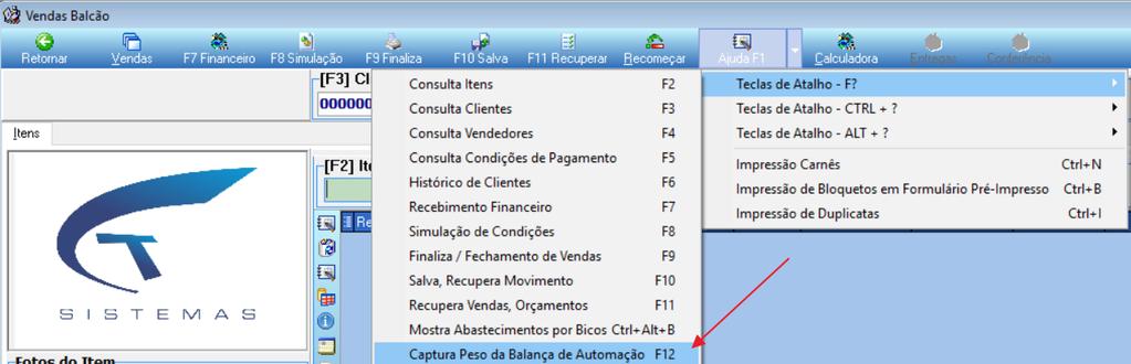 No diretório C:\Windows da máquina após salvar a configuração o arquivo Teorema_balanca.ini é criado, Figura 4. Figura 4 Arquivo Teorema_Balanca.ini. 2.1.