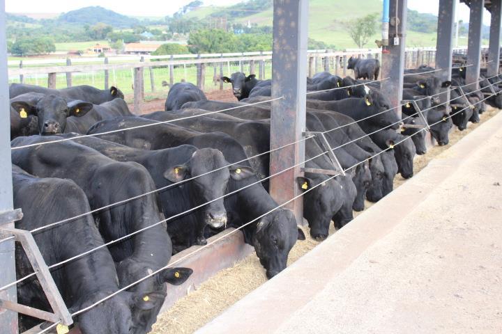 Uso racional dos concentrados e volumosos Principais alimentos usados na pecuária intensiva Métodos de conservação que reduzem emissões