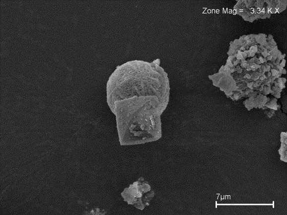 A presença de zeólita P na microscopia não reflete uma alta concentração desta fase nos pontos 13 e 14 do planejamento, uma vez que a análise de difração não detecta esta zeólita, o que pode