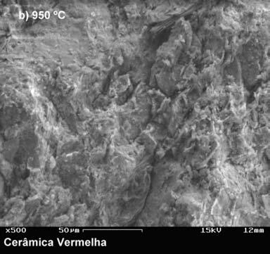 concomitante formação da metacaulinita. A segunda retração por volta de 700-850 ºC ocorre de forma menos intensa e pode ser atribuída ao início da sinterização do pó argiloso.