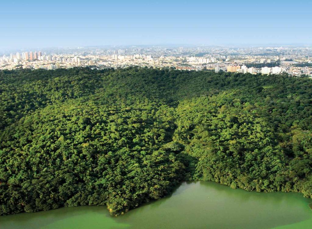 Viver bem é ter tudo ao seu redor.