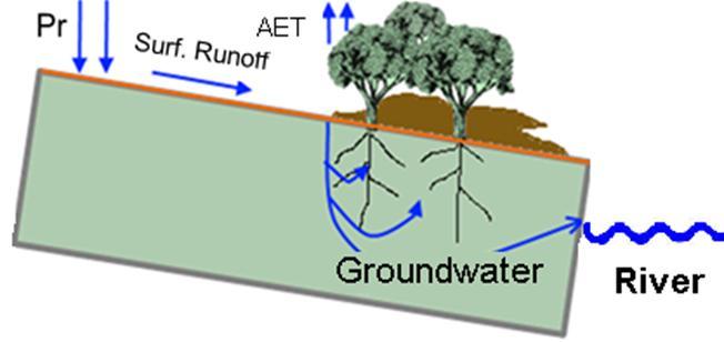 Podemos considerar o montado como um ETDAS? David et al., 2013 e Kurz-Besson et al.