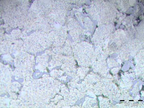 Nota-se que as partículas de silício não difundidas estão presentes sobre toda a matriz de alumínio formando um composto intermetálico com tamanhos entre 5 e 20 µm.