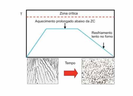 Módulo 2 Esferoidização Os aços de alto carbono % C > 0,8% (p.e aços para rolamento) apresentam uma rede frágil de cementita precipitada nos contornos da perlita.