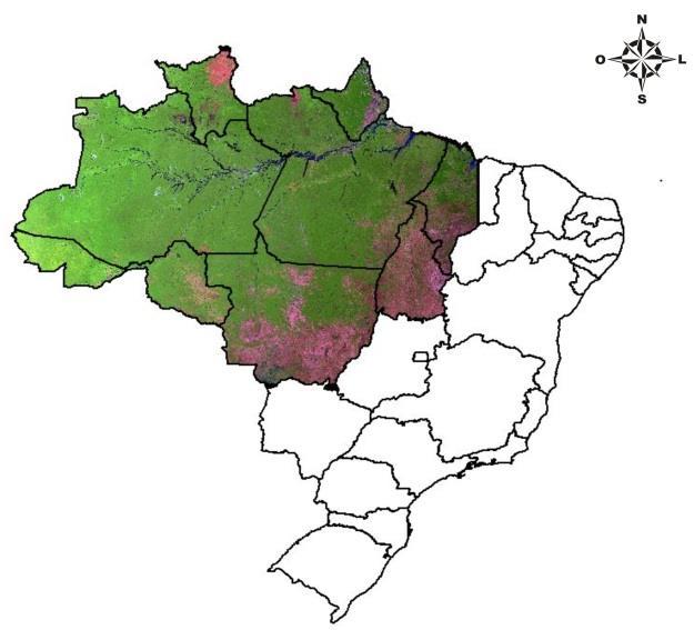 Definições Oeste do Meridiano 44 o W Amazônia legal Norte do Paralelo 13 o S Área de Proteção Permanente - APP Área protegida, coberta ou não por vegetação nativa Faixas marginais de cursos