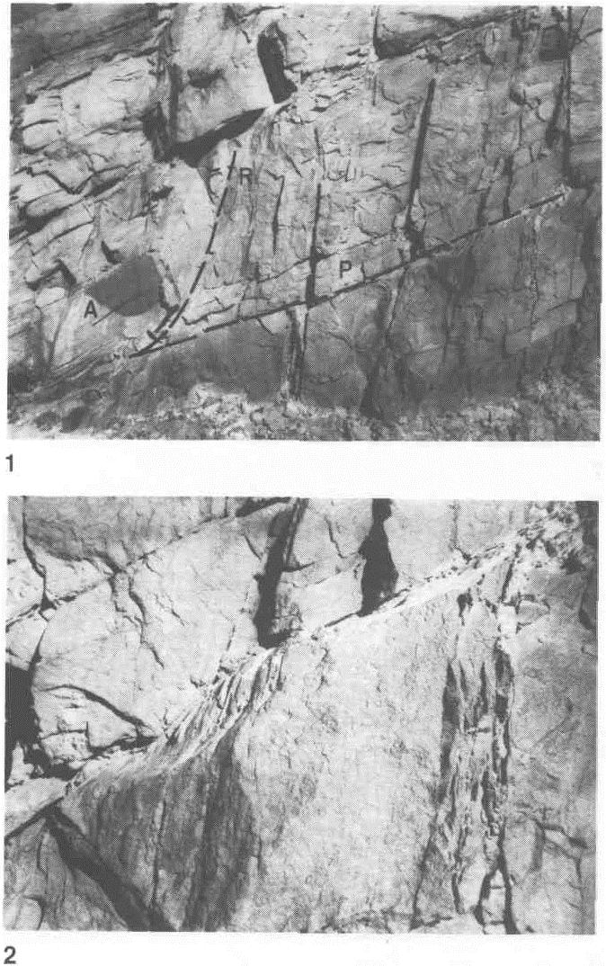 Revista Brasileira de Geociências, Volume 24, 1994 Prancha l - Foto 1.