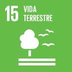 Como exemplos estão as políticas que incentivam a produção de energias renováveis (eólica e solar), a utilização de combustíveis de origem de biomassa (como etanol e biodiesel), e as atividades