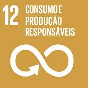 Bens Naturais Comuns ODS 11: Cidades e comunidades sustentáveis Tornar as cidades e os assentamentos humanos inclusivos, seguros, resilientes e sustentáveis Cidades importantes e internacionalmente