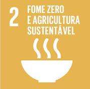 Economia Local Dinâmica, Criativa e Sustentável Objetivos de Desenvolvimento Sustentável (ODS) e metas específicas Para contribuir com o desenvolvimento social, o crescimento econômico precisa estar