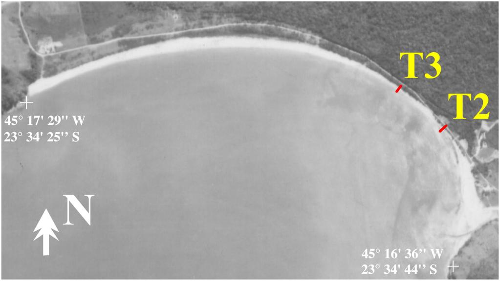 Figura 12. Praia de Tabatinga em 1962, onde é possível observar processos erosivos intensos anteriores à urbanização, no trecho ao redor dos transectos T2 e T3. Figure 12.