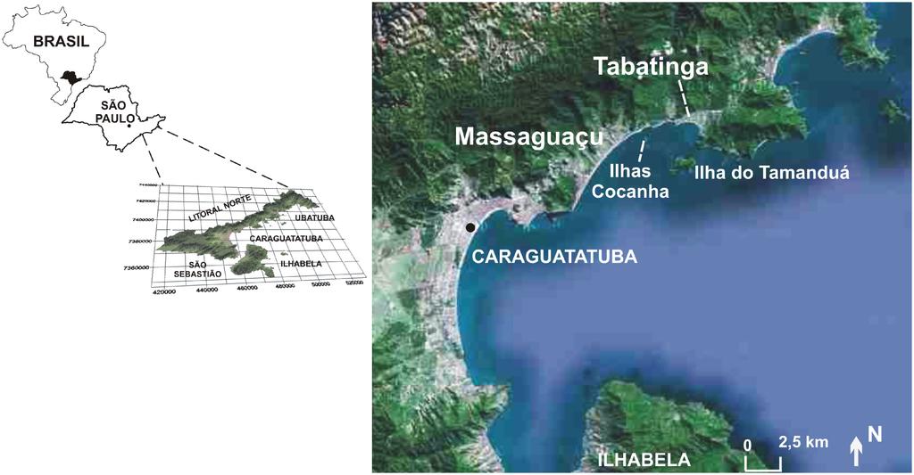 Para a realização do presente estudo foram selecionadas duas dessas praias, a Praia de Massaguaçu e a Praia de Tabatinga (Figura 1), ambas relativamente abrigadas e ocupando o fundo da Enseada de