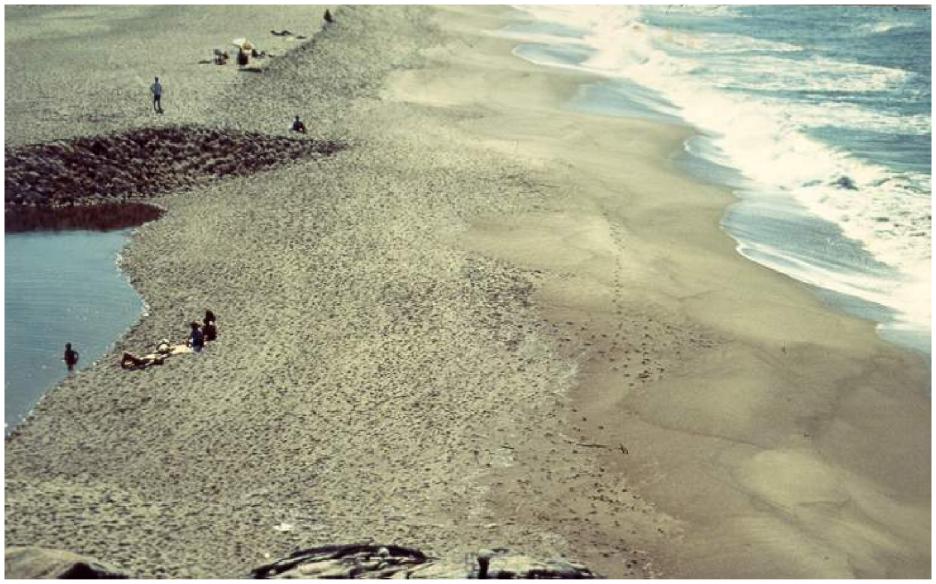 Figura 2. Extremidade sul da Praia de Massaguaçu (Celia R. de G. Souza).