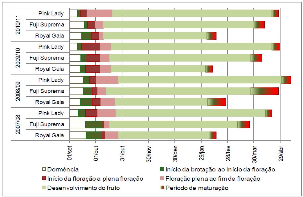 4 Avaliação da cultivar de macieira Pink Lady em Vacaria, RS da floração foi de 31 dias, em média, em ambos os porta-enxertos, sendo 10 e 14 dias mais extensa que a das cultivares testemunhas.