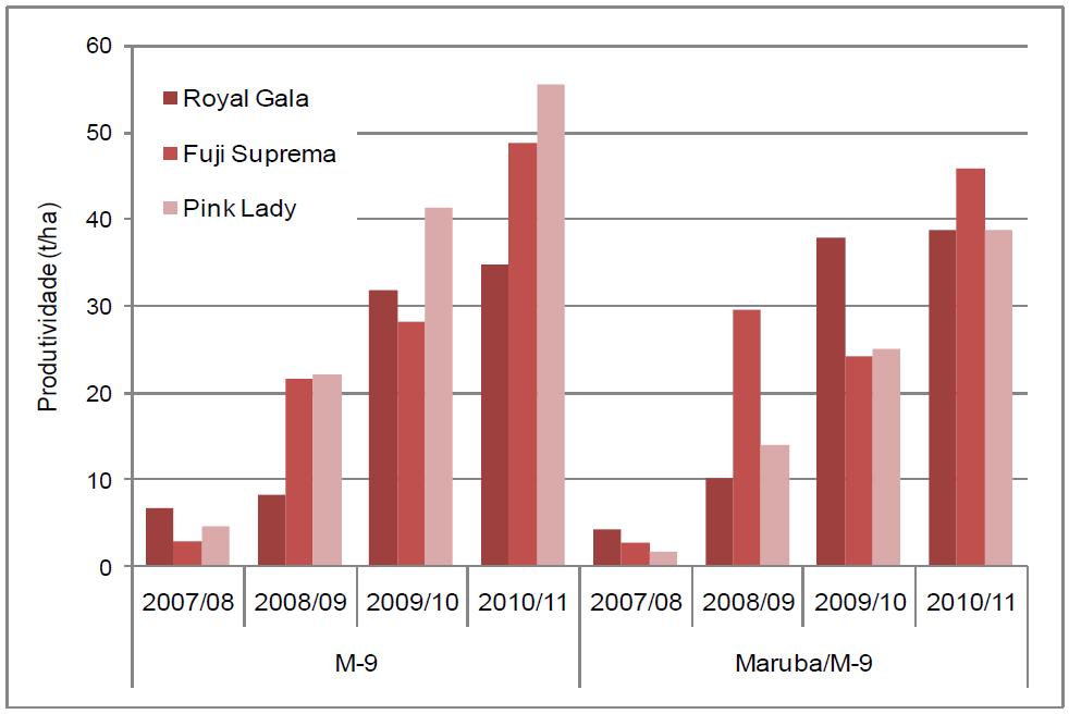 A macieira requer polinização cruzada para a produção comercial, necessitando do plantio de duas ou mais cultivares no mesmo pomar com período de floração coincidente (PETRI et al., 2008).