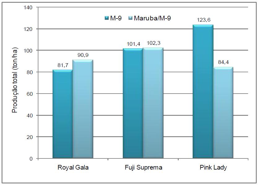 Avaliação da cultivar de macieira Pink Lady em Vacaria, RS 5 Royal Gala e Fuji Suprema, no porta-enxerto M-9, e inferior no Maruba/M-9 (Figura 6).