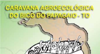 Caravana Agroecológica: A importância do Coco Babaçu no Tocantins A Comunidade Olho d Água, no município de São Miguel