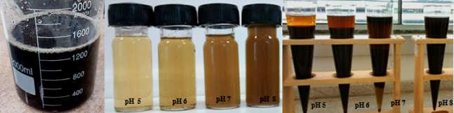 Figura 5. Esquerda) Amostras do lixiviado após o tratamento, com concentração de 3050 mg L -1 de Tanfloc SG e valores de ph variando entre 5,0 a 8,0.