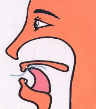 The tip of your tongue should touch your upper palate. Quickly slide it towards your upper teeth. A ponta de sua língua deve tocar o céu da boca.