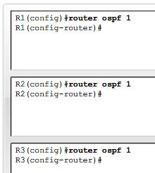 Configuração OSPF básica O process-id é um número entre 1 e 65535 escolhido pelo administrador de rede.