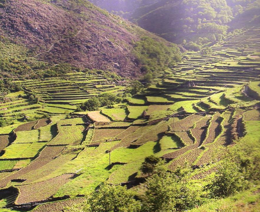 MONTANHA PENEDA-SOAJO