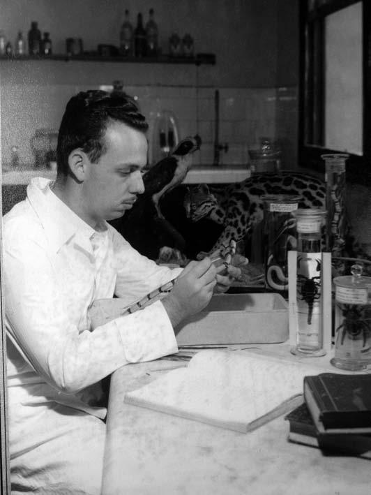 67 Figura 1: Eugênio Izecksohn no laboratório de vertebrados na Escola Nacional de Agronomia, atual Universidade Federal Rural do Rio de Janeiro em 1954.