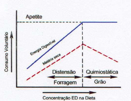 Fatores que interferem no