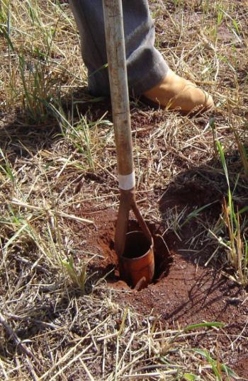 Boletim Minas Gerais A sua primeira edição foi no ano de 1971, resultado de pesquisas, informações e experiências de técnicos em fertilidade do solo, fitotecnia, pedologia e, extensionistas rurais da