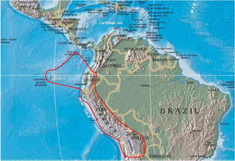 Introdução O Tomate (Solanum lycopersicum L.), pertence à família Solanaceae, sendo originário da América Central, compreendendo áreas que vão desde o México até a região Andina (NASS,2001).