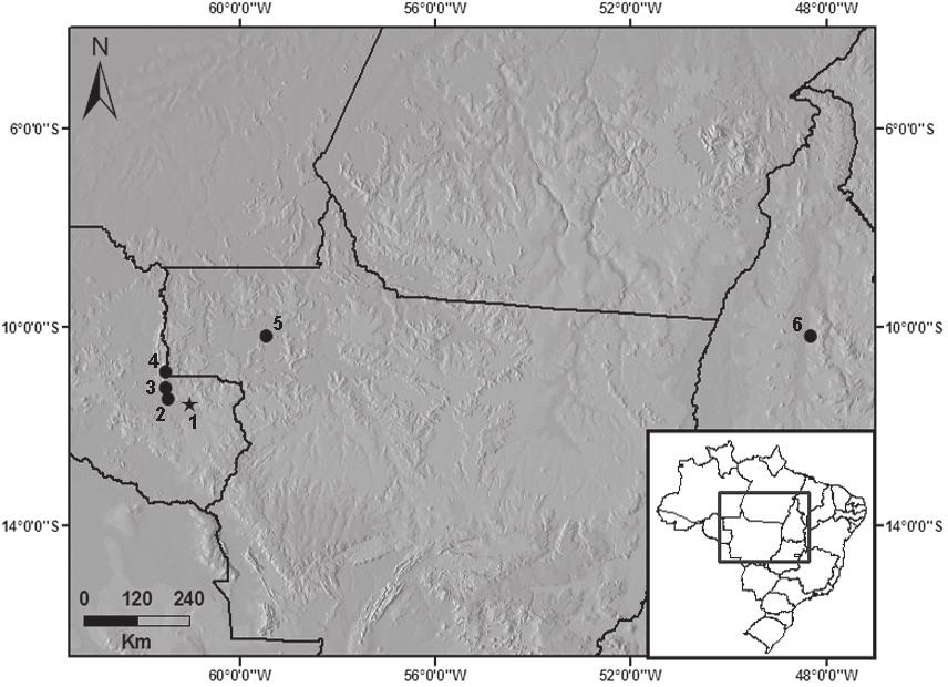 cururu, enquanto a média da duração do canto em P. concavitympanum e P. moratoi são as menores encontradas, aproximando essas espécies. Giaretta et al.