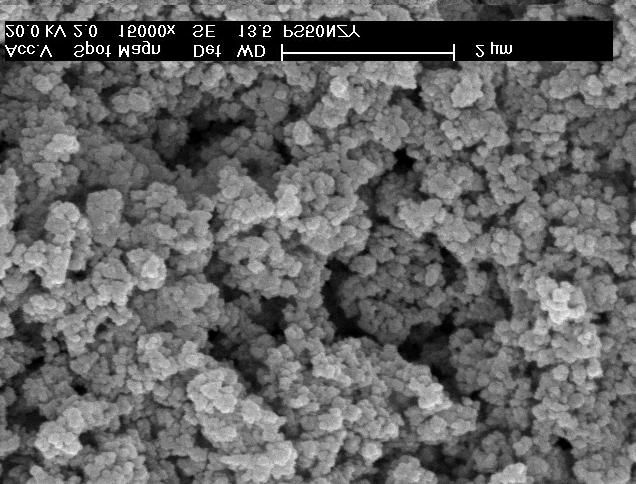 Como pode ser observado na micrografia obtida por microscopia eletrônica de varredura, (Fig.