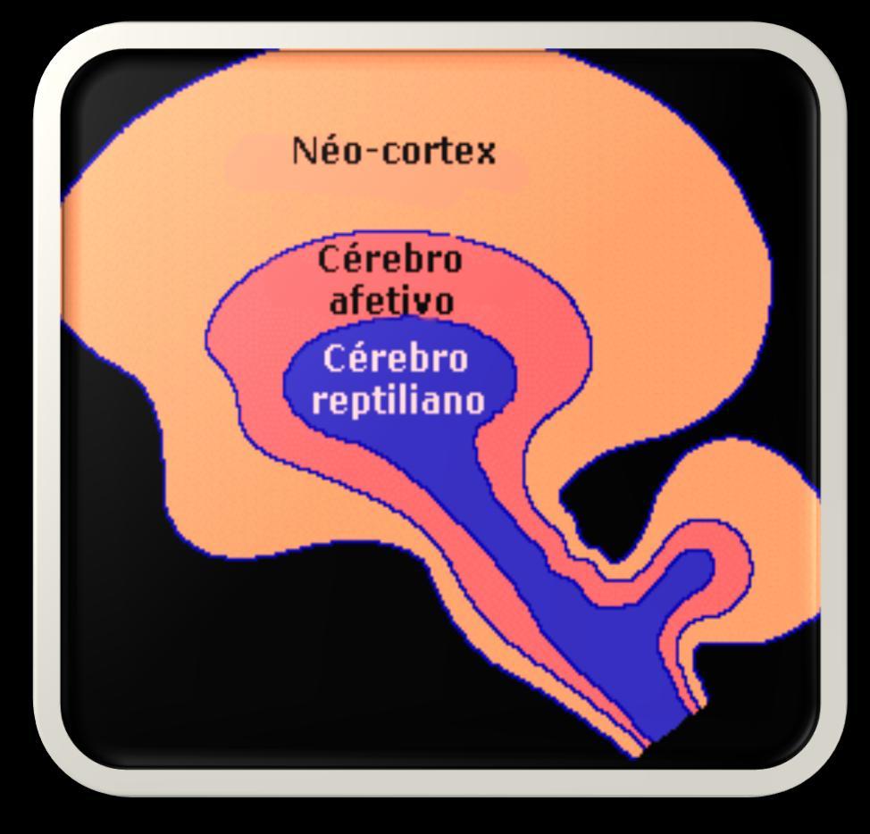 Cérebro trino Pensamento, fala, escrita, capacidade de planejar Emoções e