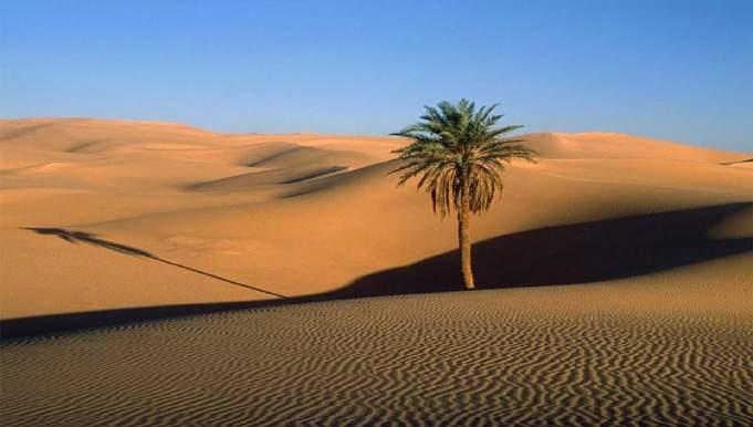 O clímax de uma sucessão que leva ao aparecimento de um deserto é