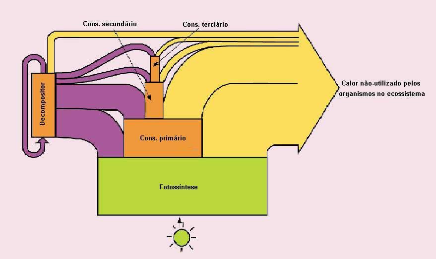 Fluxo de